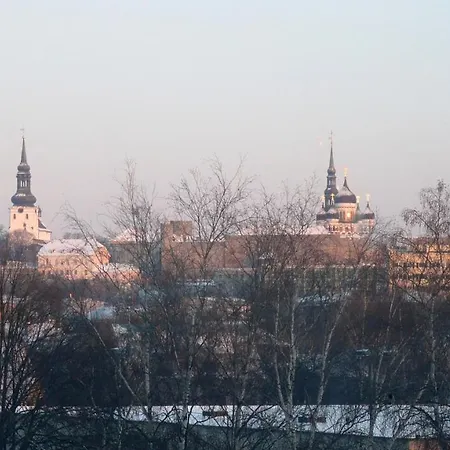 City Center Evm Bee